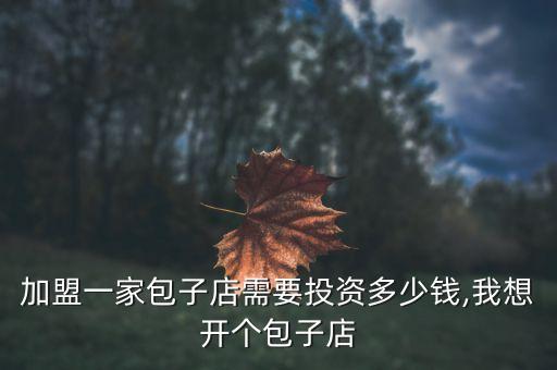 香港汤加盟费多少,彭家正汤加盟费是多少
