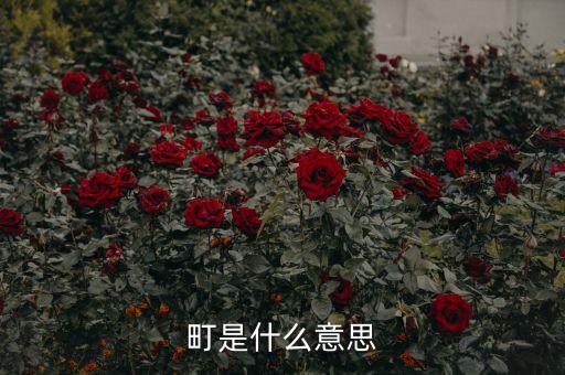 町是什么意思