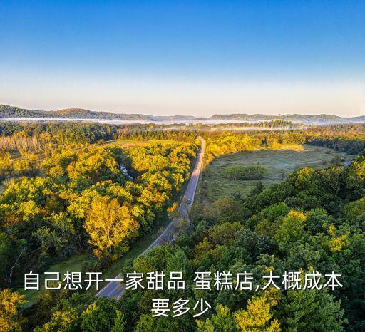 自己想开一家甜品 蛋糕店,大概成本要多少
