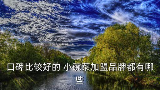口碑比较好的 小碗菜加盟品牌都有哪些