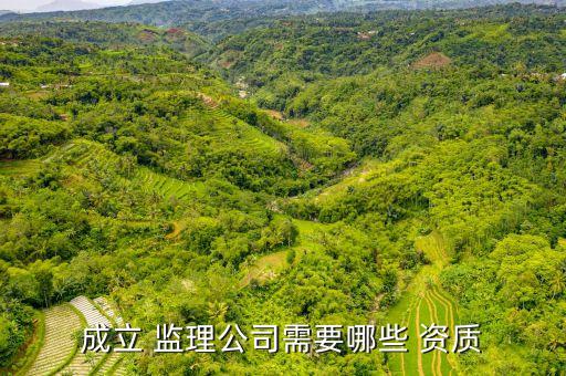成立 监理公司需要哪些 资质