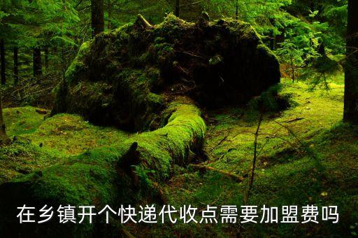 在乡镇开个快递代收点需要加盟费吗
