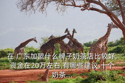 广东皇茶加盟费多少,广东喜茶加盟费及加盟条件