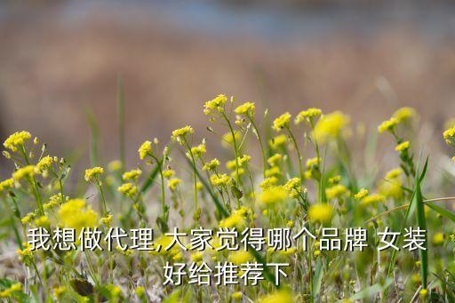 独傲女装加盟费,乖一点女装加盟费多少钱