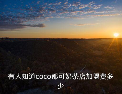 有人知道coco都可奶茶店加盟费多少