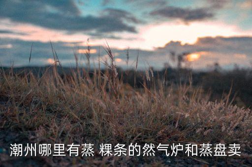 潮州哪里有蒸 粿条的然气炉和蒸盘卖