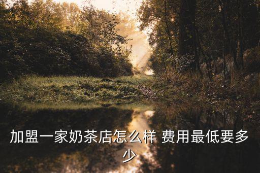 加盟一家奶茶店怎么样 费用最低要多少