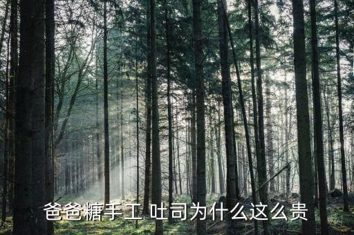 吐司面包加盟费,450g吐司面包最佳配方