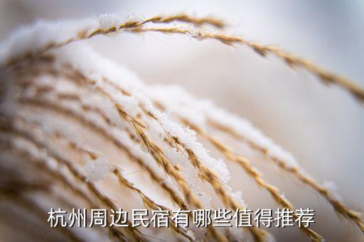 杭城吃喝玩乐加盟费用多少