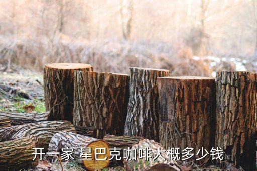 开一家 星巴克咖啡大概多少钱