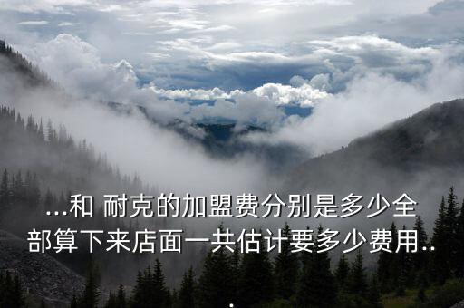 耐克男鞋加盟费多少,耐克买鞋的app是哪个