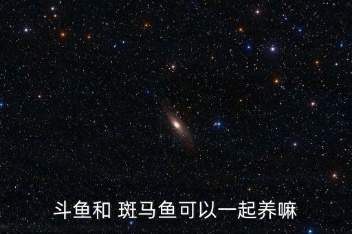 斑马稻田加盟费多少钱
