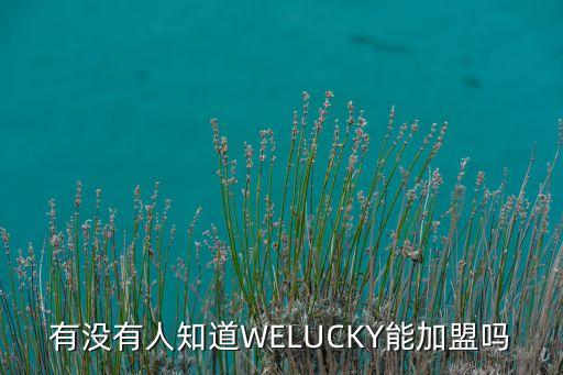 有没有人知道WELUCKY能加盟吗