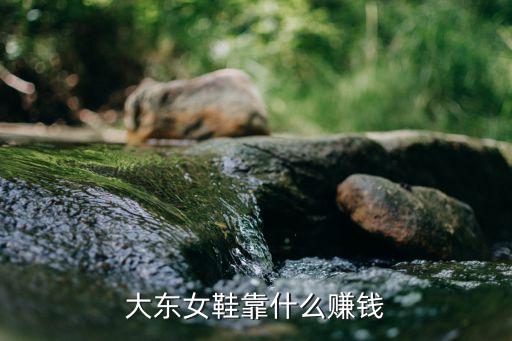 大东女鞋靠什么赚钱