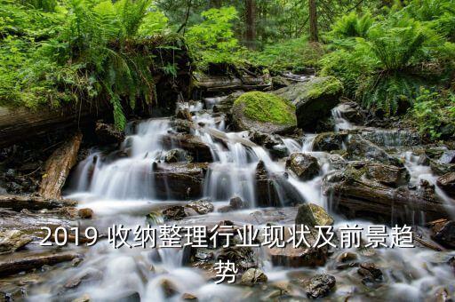2019 收纳整理行业现状及前景趋势