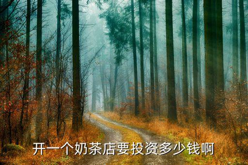 开一个奶茶店要投资多少钱啊