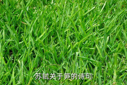 笋角仙加盟费多少
