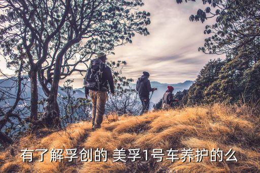 有了解孚创的 美孚1号车养护的么