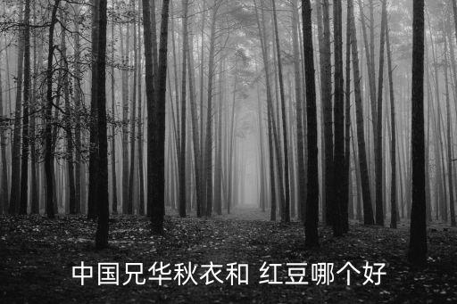 红豆男装加盟费多少,七匹狼男装加盟费多少