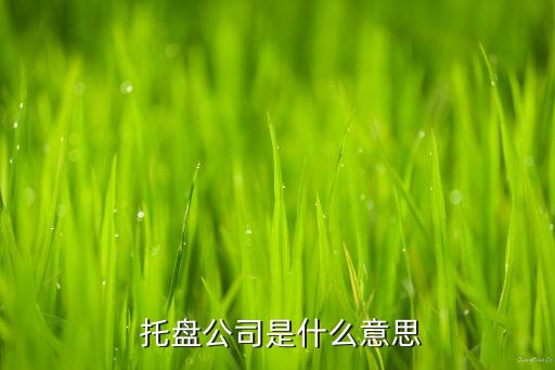  托盘公司是什么意思