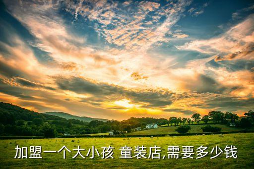 加盟一个大小孩 童装店,需要多少钱