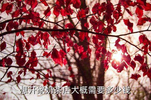 想开家奶茶店大概需要多少钱