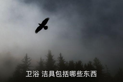 卫浴 洁具包括哪些东西