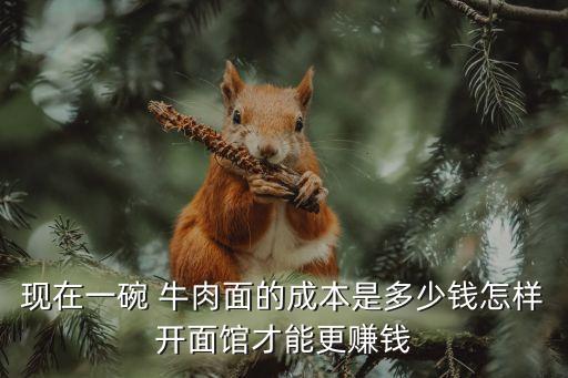 现在一碗 牛肉面的成本是多少钱怎样开面馆才能更赚钱