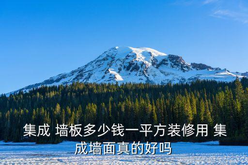  集成 墙板多少钱一平方装修用 集成墙面真的好吗