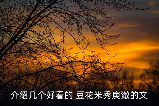 介绍几个好看的 豆花米秀庚澈的文
