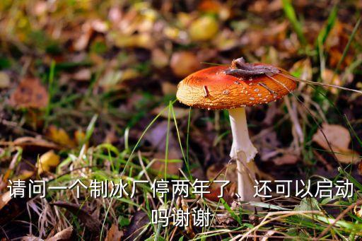 请问一个制冰厂停两年了、还可以启动吗谢谢