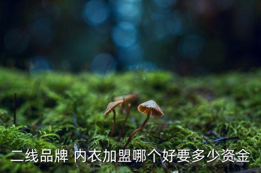 云南女装内衣连锁加盟费用