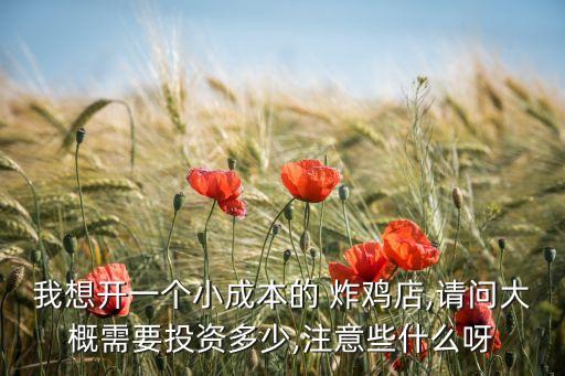 我想开一个小成本的 炸鸡店,请问大概需要投资多少,注意些什么呀