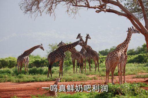  一鸣真鲜奶吧利润