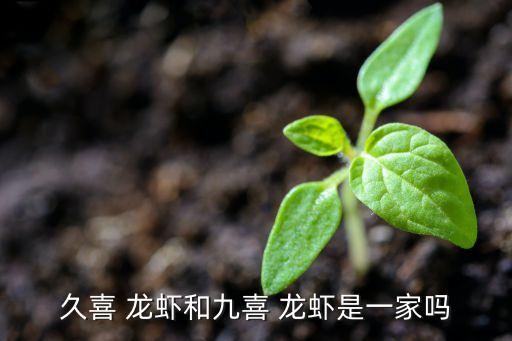 久喜 龙虾和九喜 龙虾是一家吗