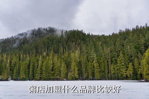 粥店加盟什么品牌比较好