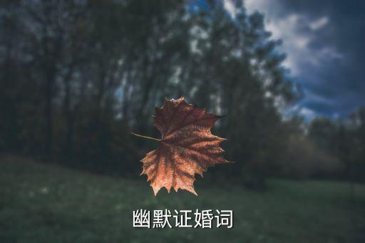 幽默证婚词