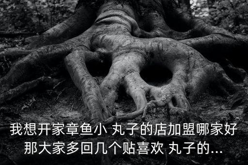 我想开家章鱼小 丸子的店加盟哪家好那大家多回几个贴喜欢 丸子的...