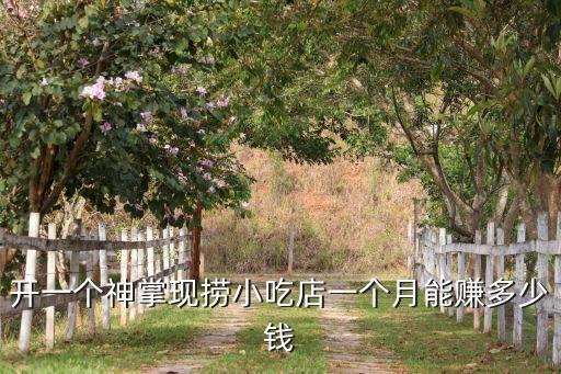 开一个神掌现捞小吃店一个月能赚多少钱