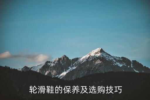 宁夏直排轮滑鞋加盟费多少