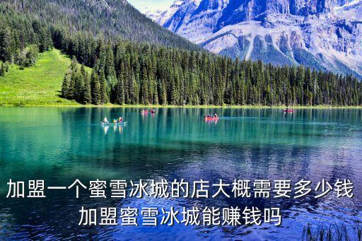 加盟一个蜜雪冰城的店大概需要多少钱加盟蜜雪冰城能赚钱吗