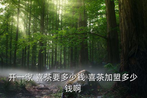 开一家 喜茶要多少钱 喜茶加盟多少钱啊