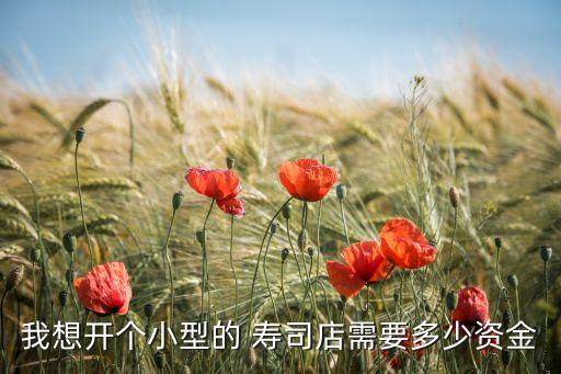 平阳寿司加盟费多少,大赞寿司加盟费多少