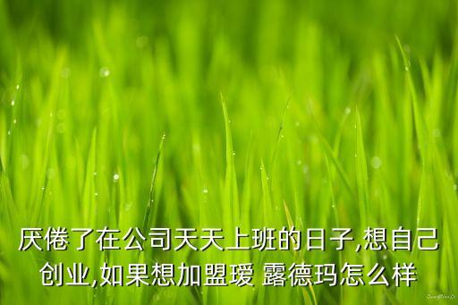 厌倦了在公司天天上班的日子,想自己创业,如果想加盟瑷 露德玛怎么样