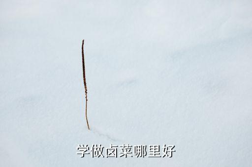 学做卤菜哪里好