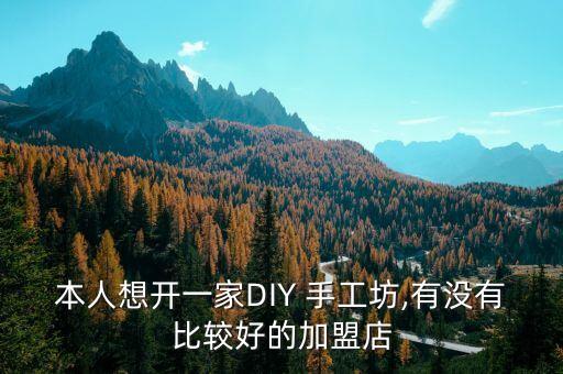 本人想开一家DIY 手工坊,有没有比较好的加盟店