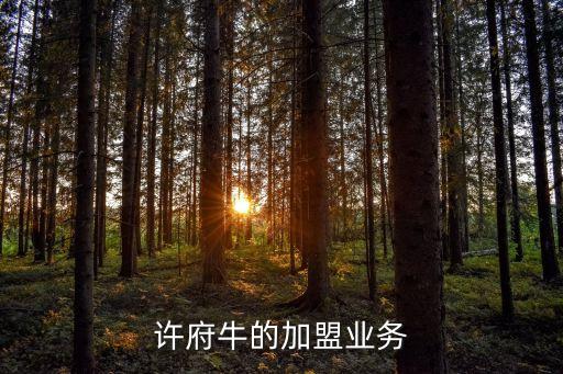 许府牛的加盟业务