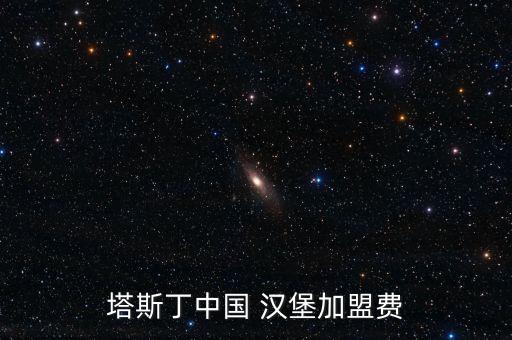 塔斯丁中国 汉堡加盟费