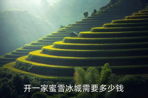 冰雪星海冰淇淋加盟费多少