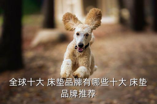 知名床垫哪家免加盟费